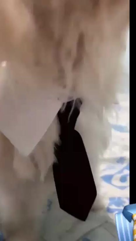 TikTok video thumbnail by maye_nicky17
