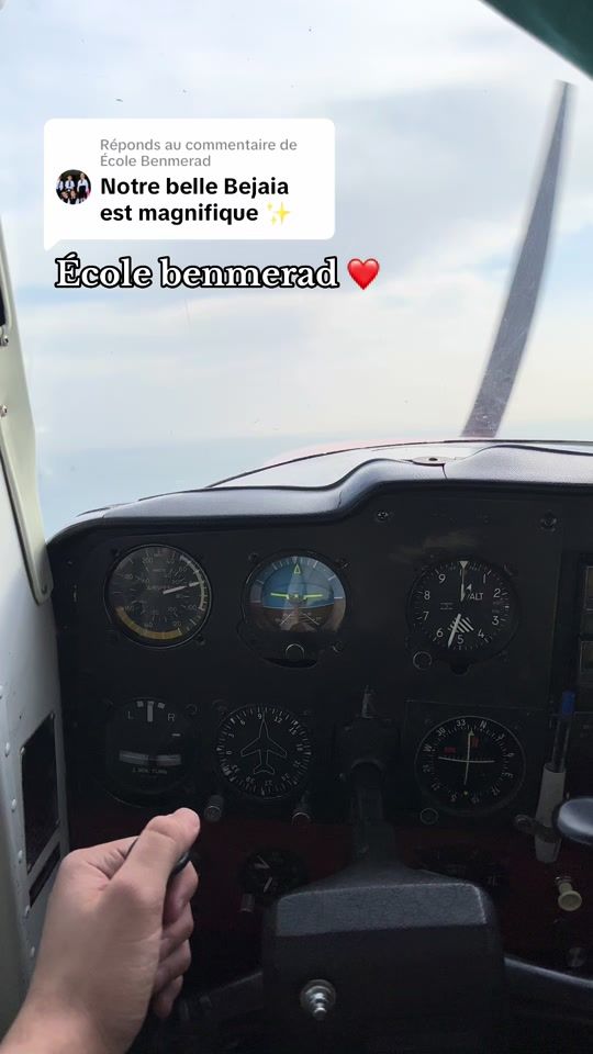 TikTok video thumbnail by pilot.amm