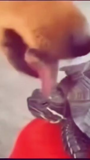 TikTok video thumbnail by i_ah9s