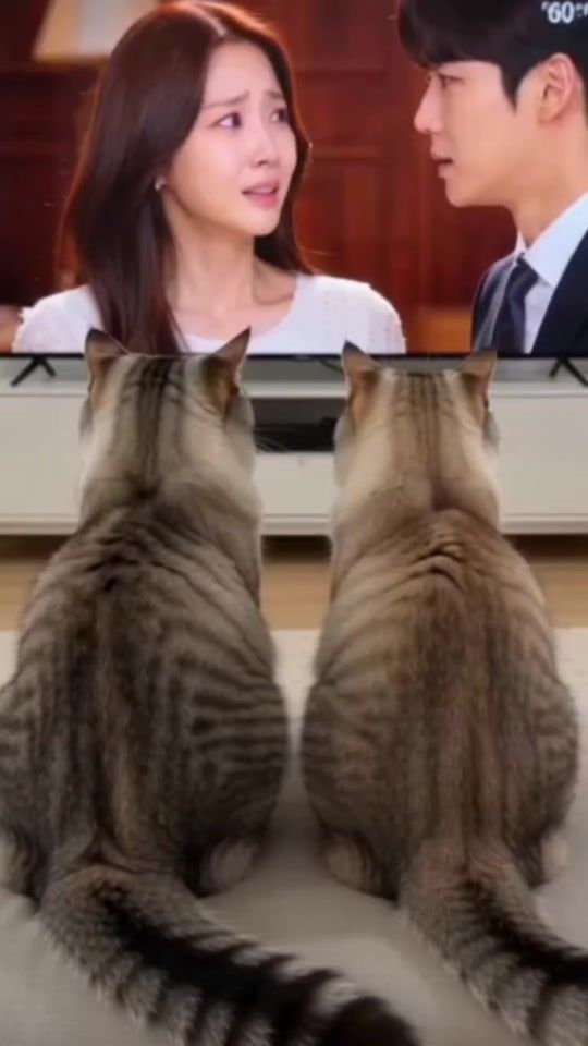 TikTok video thumbnail by mass_aris2