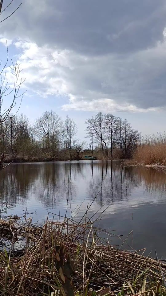 TikTok video thumbnail by alexsandr19588