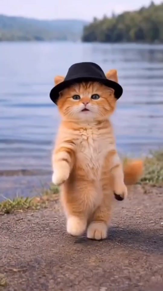 TikTok video thumbnail by yonim299
