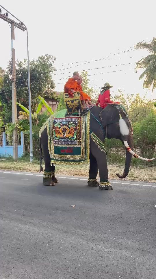 TikTok video thumbnail by surachai945