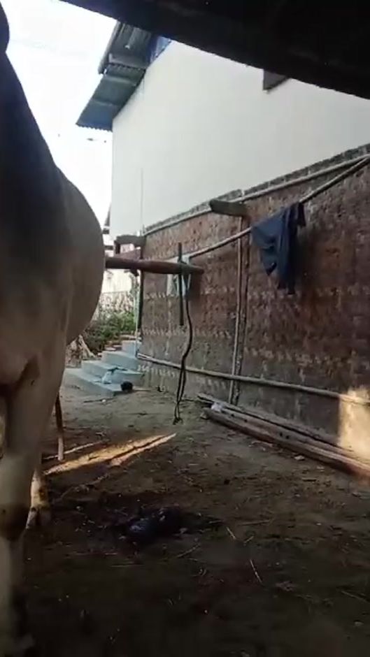 TikTok video thumbnail by chitkhaing436