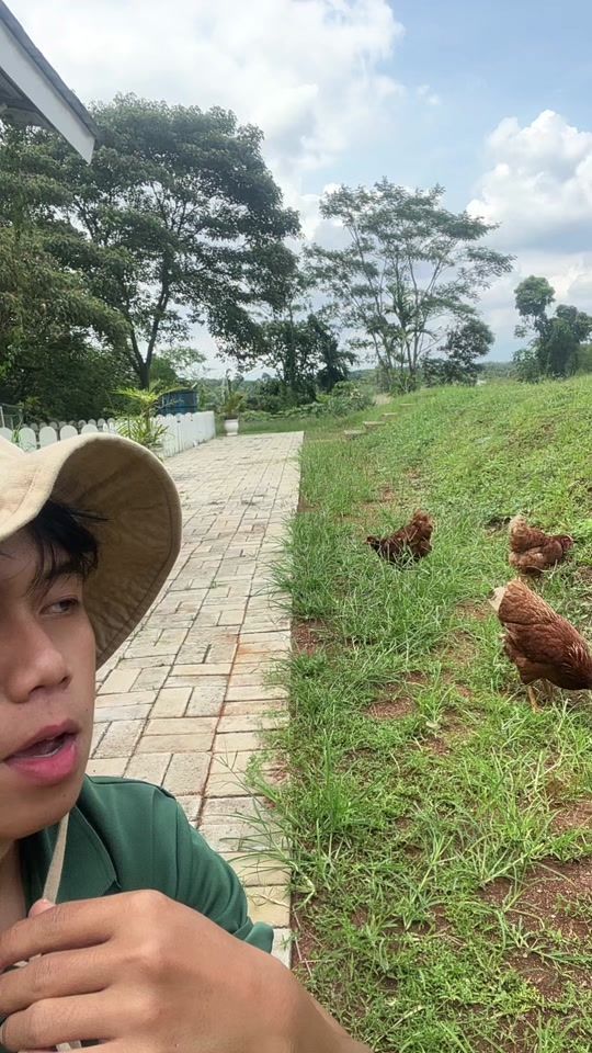 TikTok video thumbnail by sip.garden
