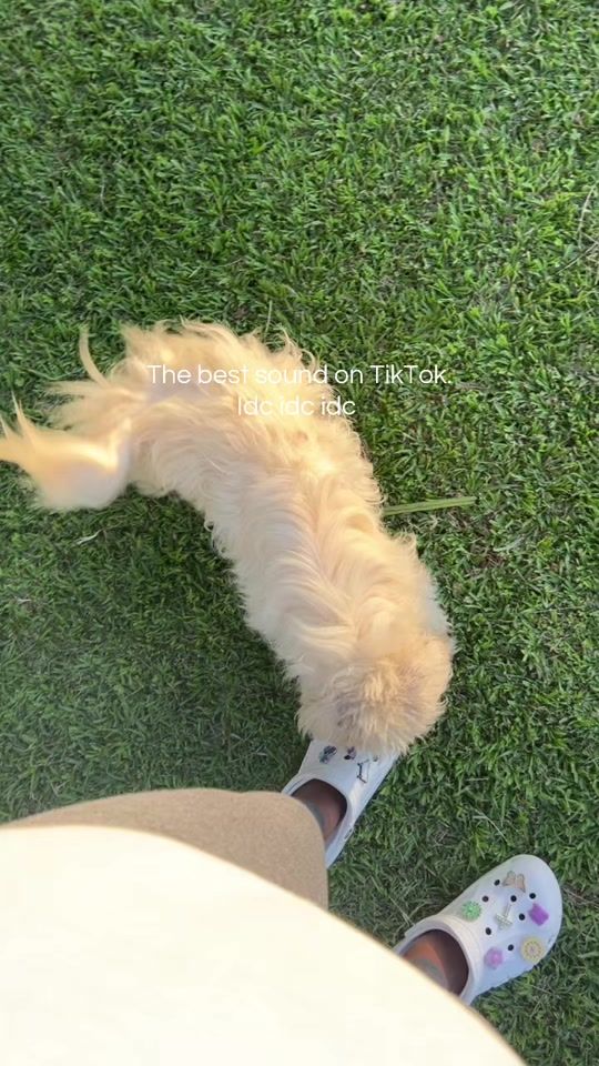 TikTok video thumbnail by lithyyy_x