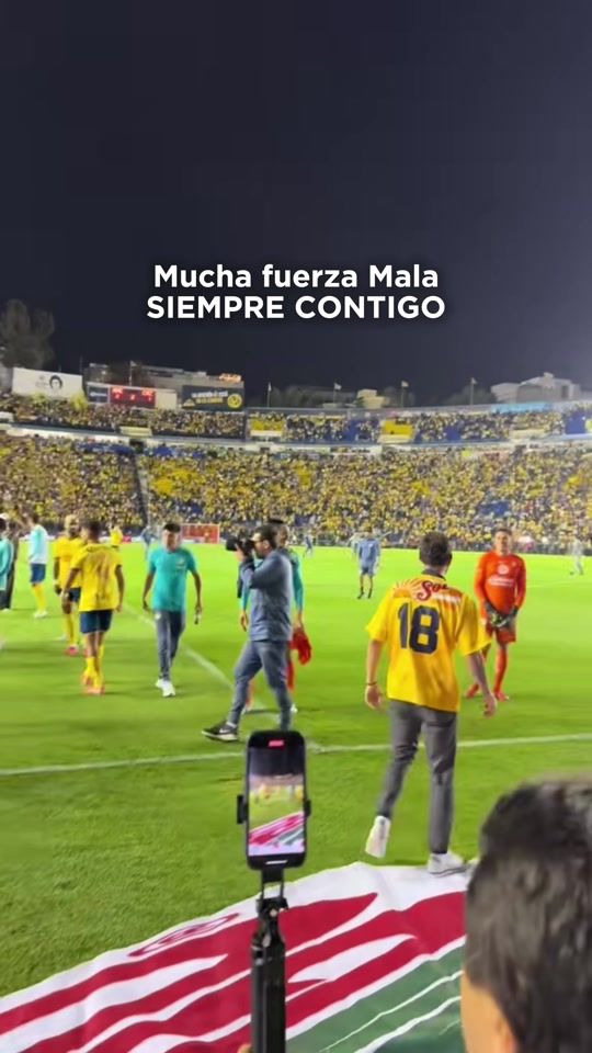 TikTok video thumbnail by miguel_layun