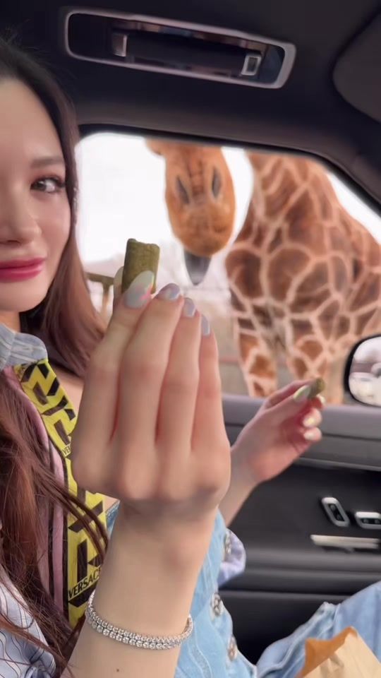 TikTok video thumbnail by ami.patton