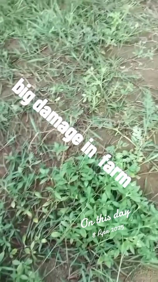 TikTok video thumbnail by rahulritesh12