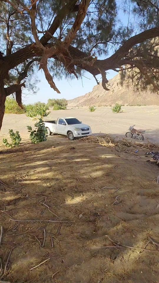 TikTok video thumbnail by halim_sahrawi