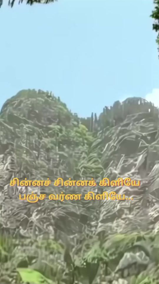 TikTok video thumbnail by tamil.status3