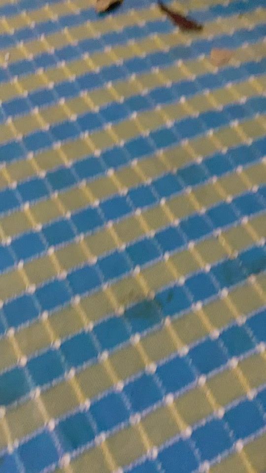 TikTok video thumbnail by rumi_perera