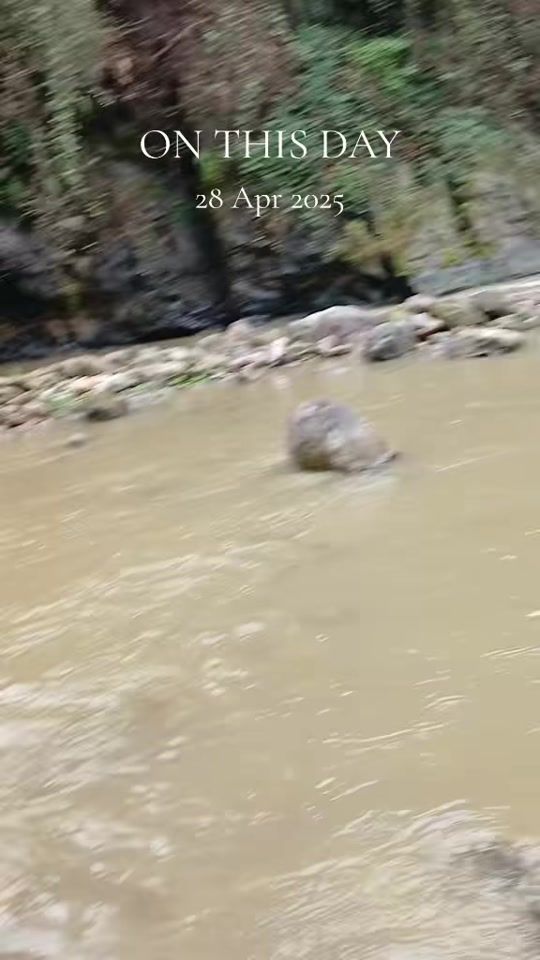 TikTok video thumbnail by _ugw10