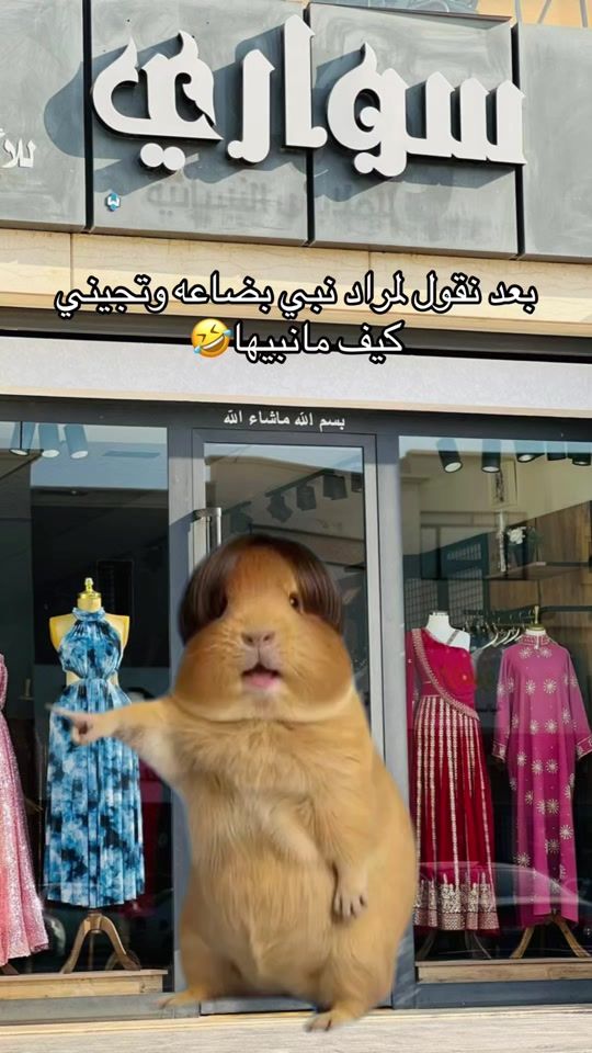 TikTok video thumbnail by saware.fashion