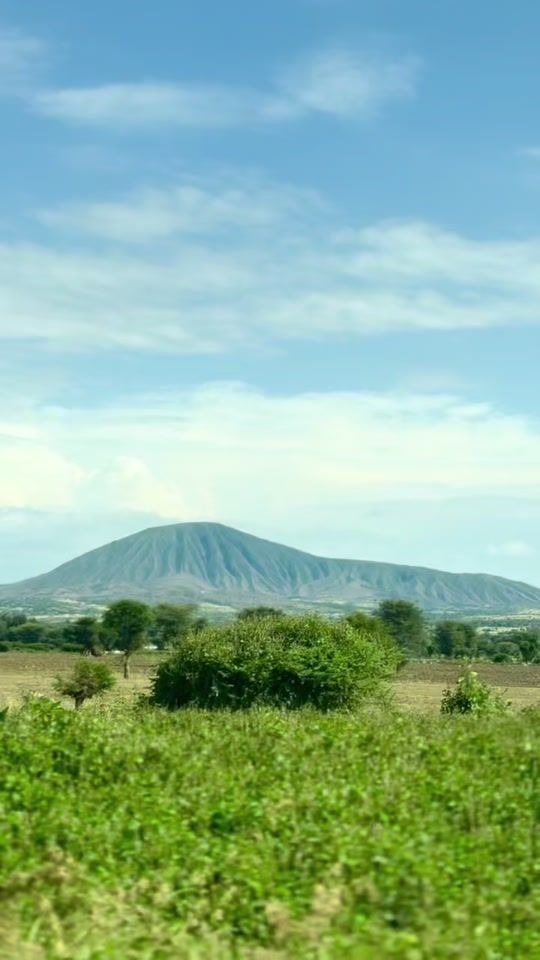 TikTok video thumbnail by ebiseg