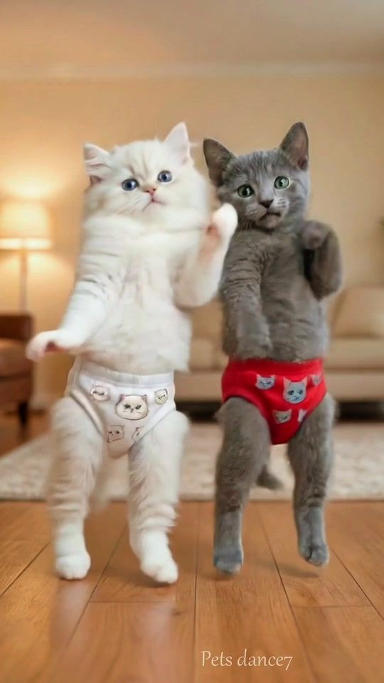TikTok video thumbnail by petsdance7