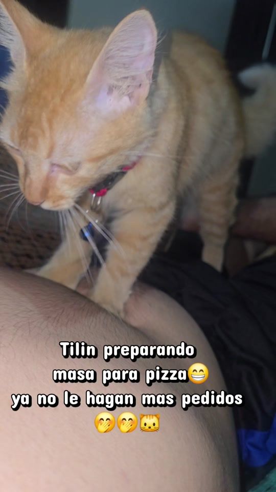 TikTok video thumbnail by kikeportillosv