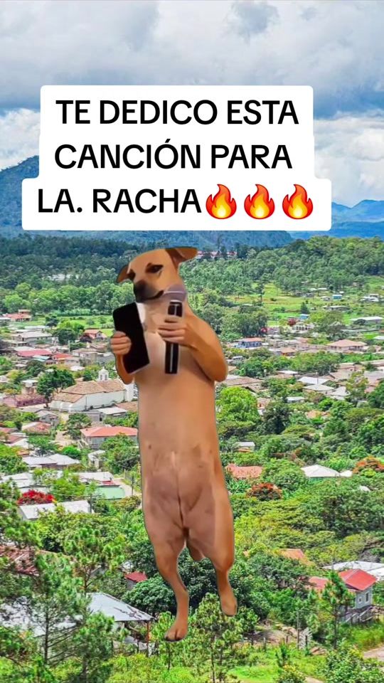 TikTok video thumbnail by cristofer_kitosilva