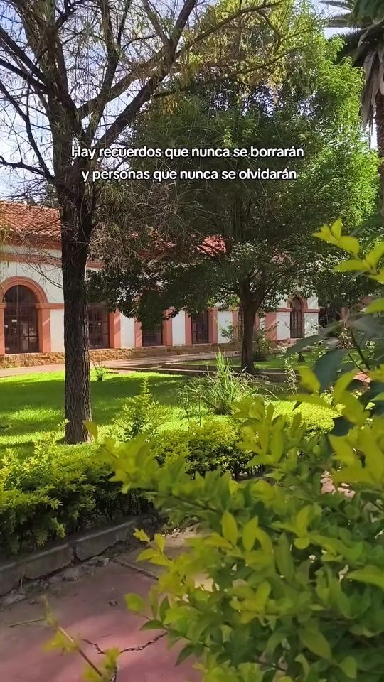TikTok video thumbnail by tincho.sol