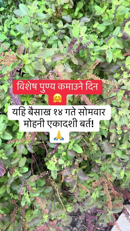 TikTok video thumbnail by apsara12456