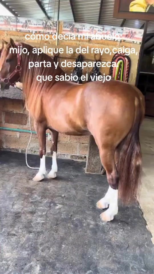 TikTok video thumbnail by juancoco4