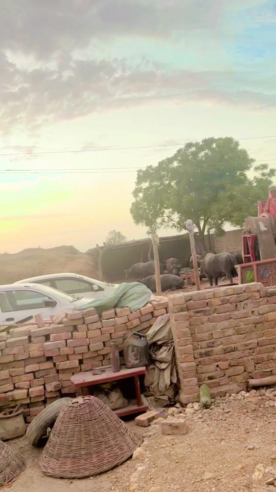 TikTok video thumbnail by dilbarurschandio