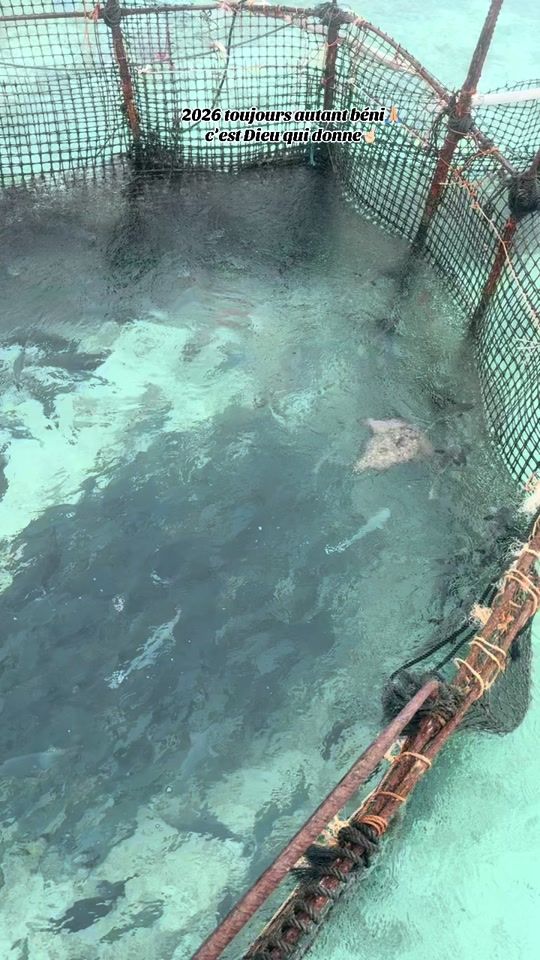 TikTok video thumbnail by kauatea16