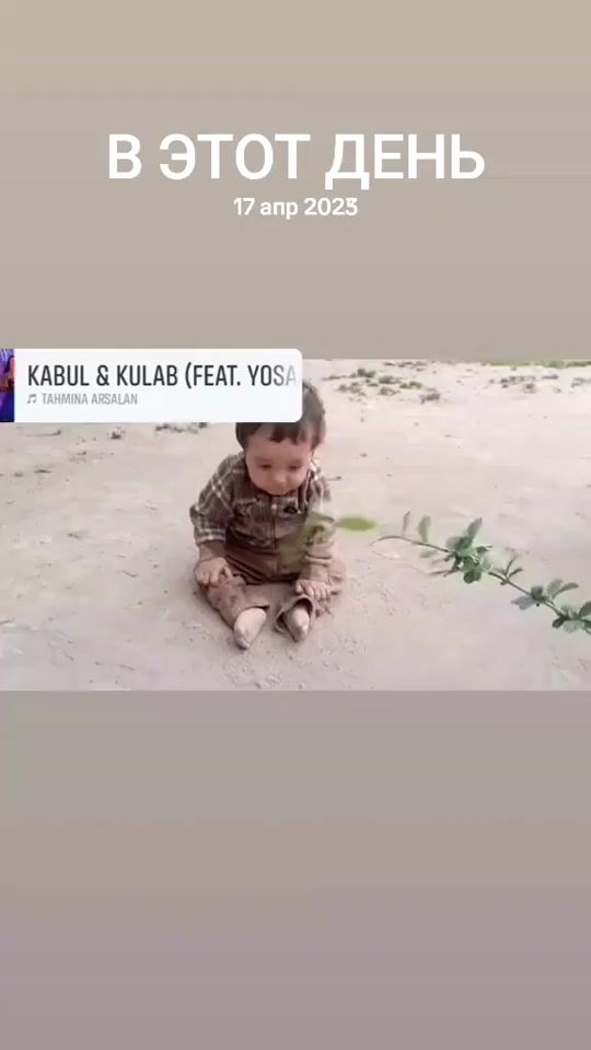 TikTok video thumbnail by barnoxag89z