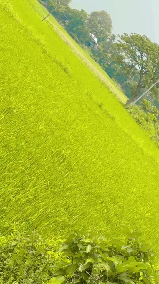 TikTok video thumbnail by user4683653450