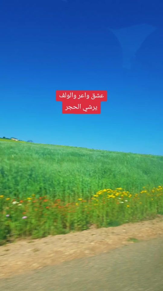 TikTok video thumbnail by wisalmajdolin