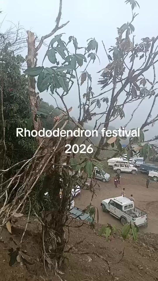 TikTok video thumbnail by sonamsonam04