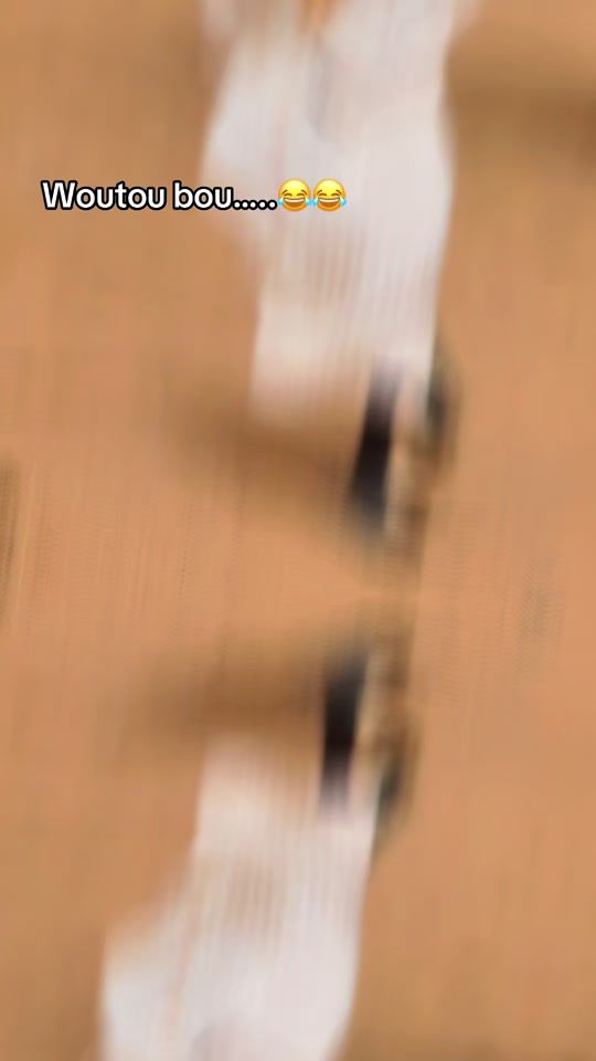 TikTok video thumbnail by king_officiel.2.2.6