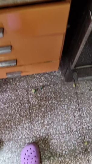 TikTok video thumbnail by luisiferrero