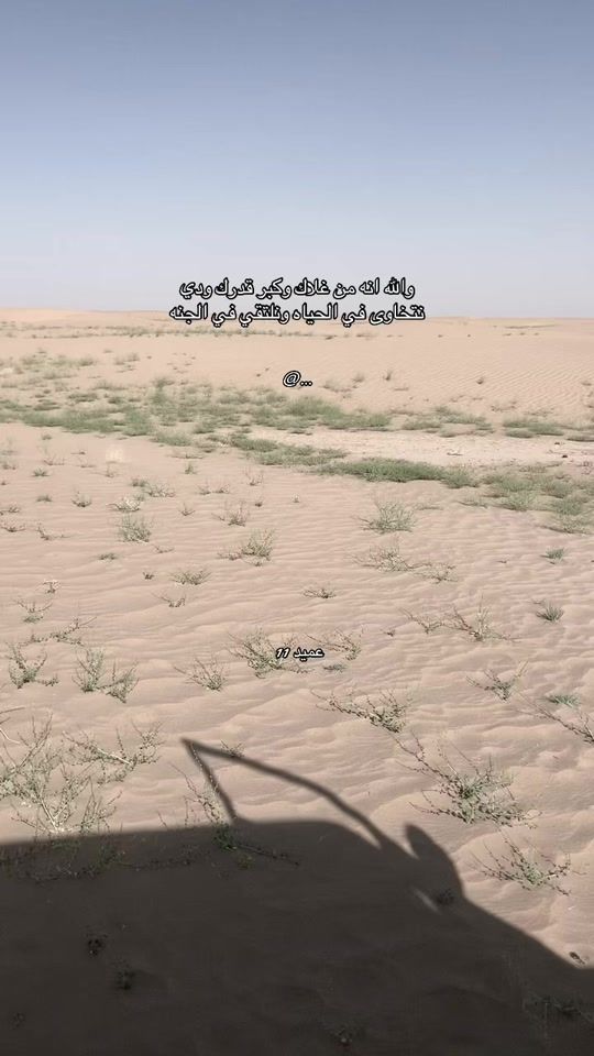 TikTok video thumbnail by 7763ga