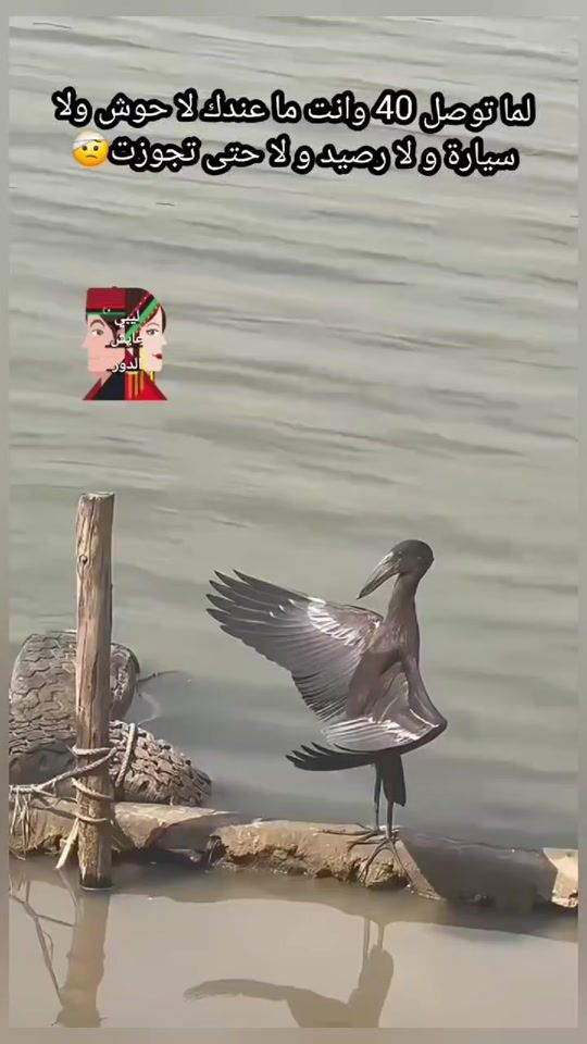 TikTok video thumbnail by libiaishedor