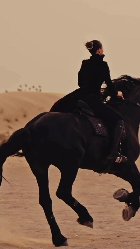 TikTok video thumbnail by jannah_horses