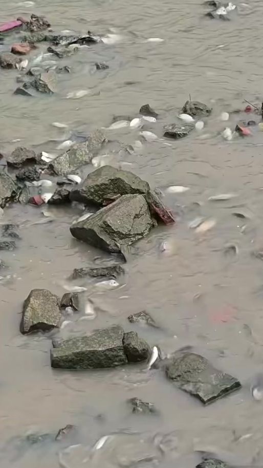 TikTok video thumbnail by linhgiang.094