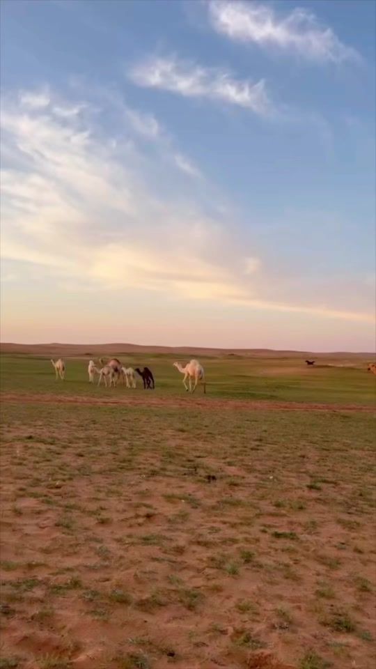 TikTok video thumbnail by alnke..libya