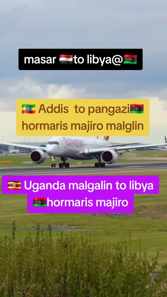 TikTok video thumbnail by hashifarah7