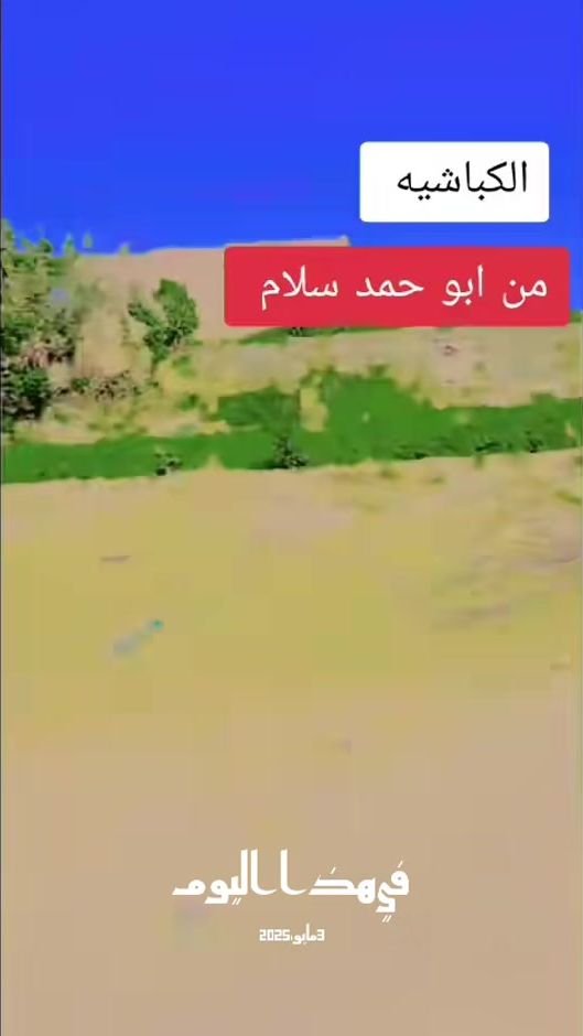 TikTok video thumbnail by .99986150