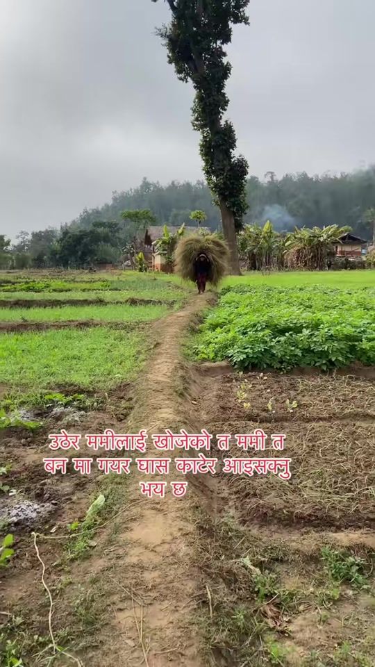 TikTok video thumbnail by roshankc377