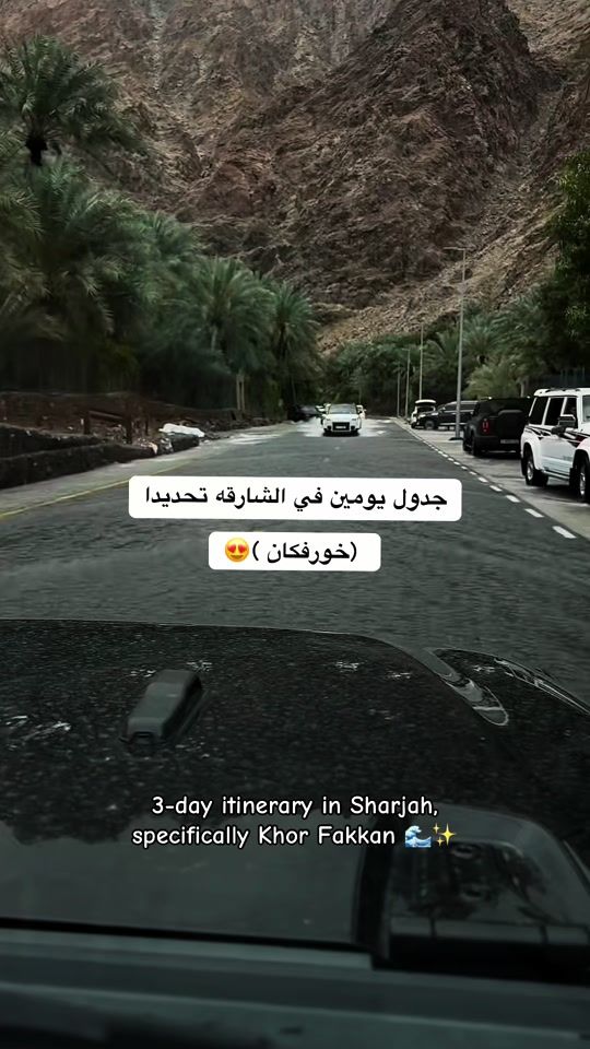 TikTok video thumbnail by dlil_uae