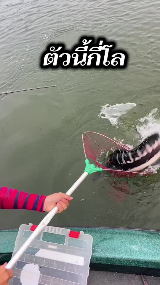 TikTok video thumbnail by ponlure_8_9