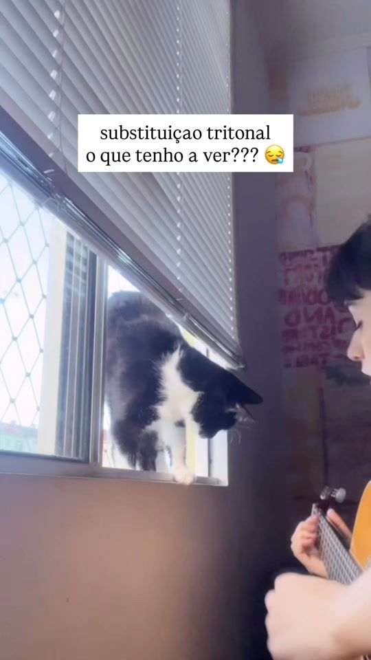 TikTok video thumbnail by tafnesss_