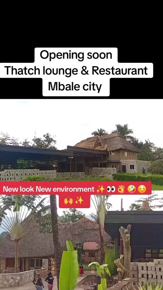TikTok video thumbnail by clocktower1976