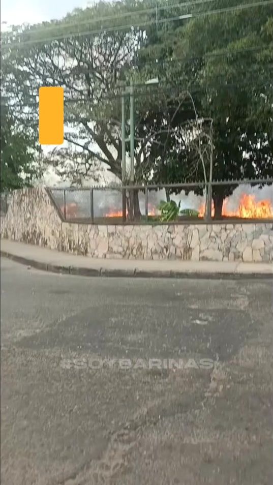TikTok video thumbnail by soybarinas