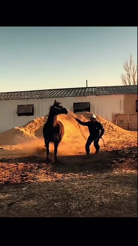 TikTok video thumbnail by aboale818
