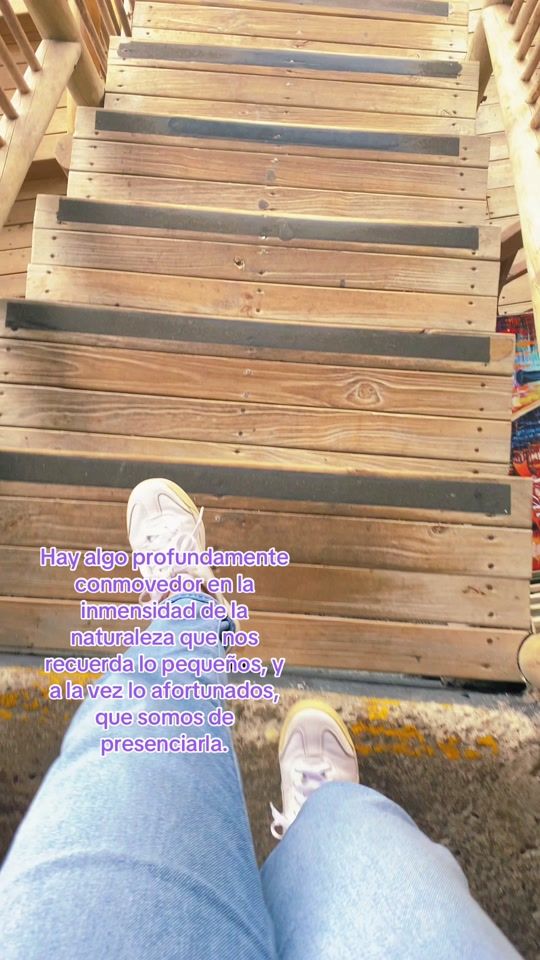 TikTok video thumbnail by anabel_lobo