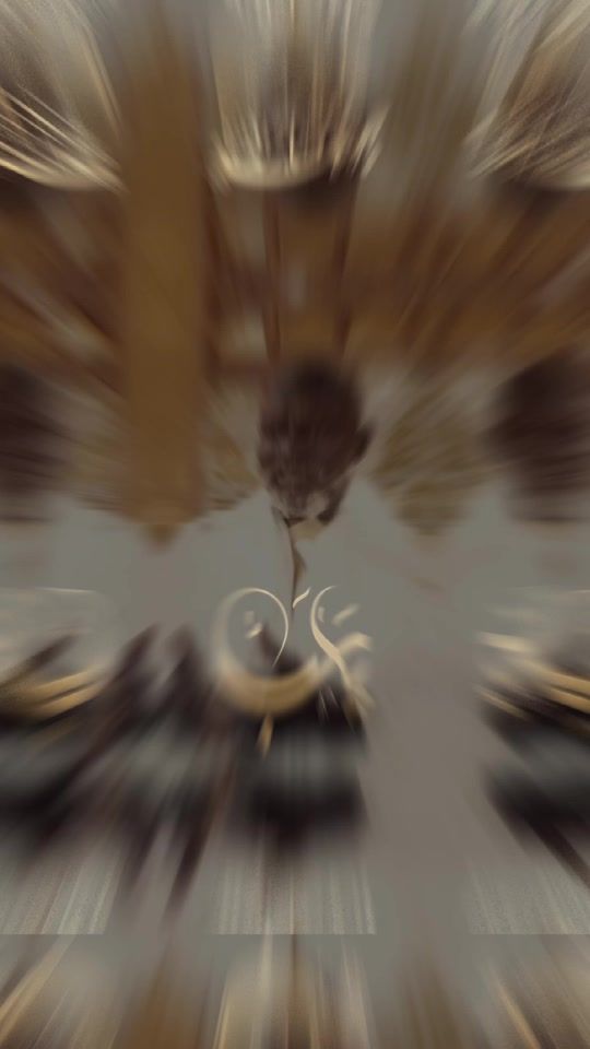 TikTok video thumbnail by sene.laye8