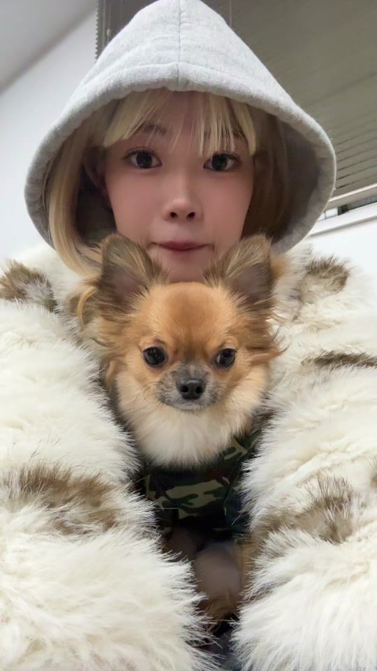 TikTok video thumbnail by py_pchan